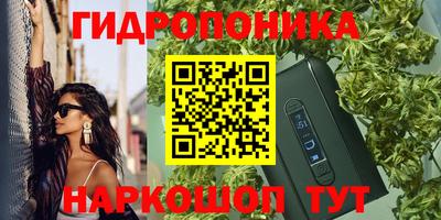 прущая мука Гатчина