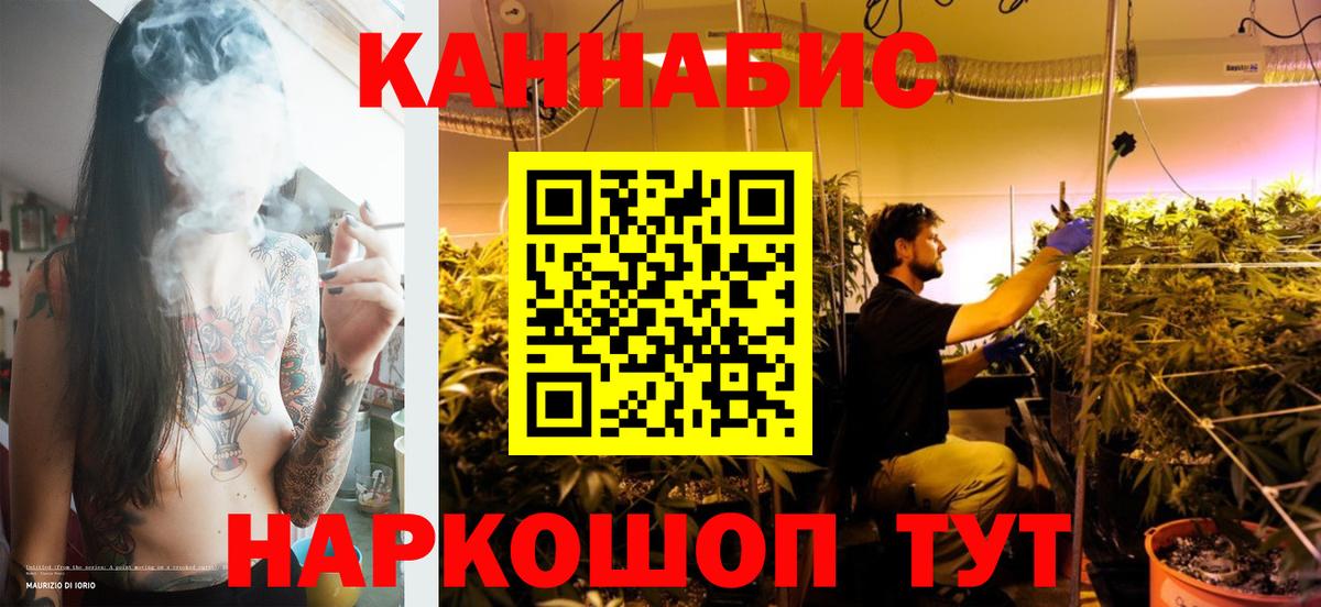 Бошки Шишки семена  Вход с VPN  Канабис Bruce Banner  Шишки марихуана сатива  Валуйки 